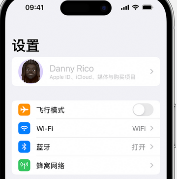 濉溪appleID维修服务iPhone设置中Apple ID显示为灰色无法使用