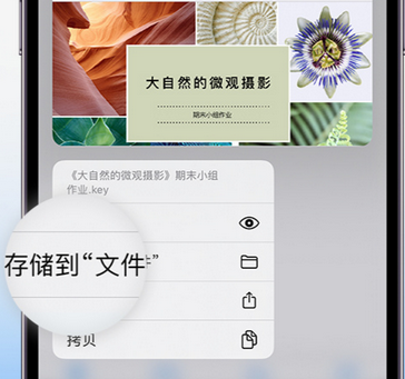 濉溪apple维修中心分享iPhone文件应用中存储和找到下载文件