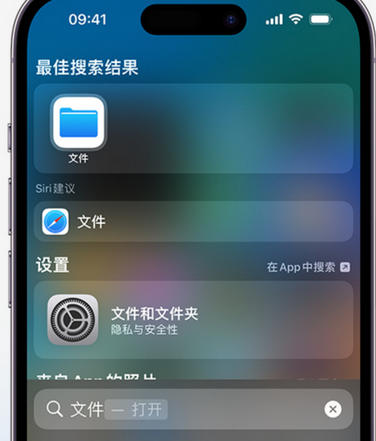 濉溪apple维修中心分享iPhone文件应用中存储和找到下载文件