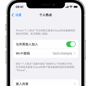 濉溪apple服务站点分享iPhone上个人热点丢失了怎么办