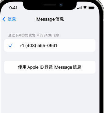 濉溪apple维修iPhone上无法正常发送iMessage信息 