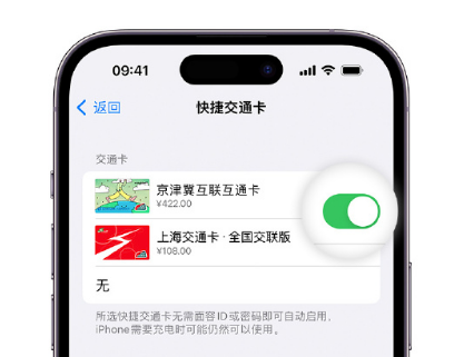 濉溪apple维修点分享iPhone上更换Apple Pay快捷交通卡手绘卡面 