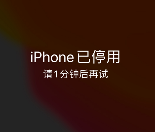 濉溪苹果手机维修分享:iPhone 显示“不可用”或“已停用”怎么办？还能保留数据吗？ 