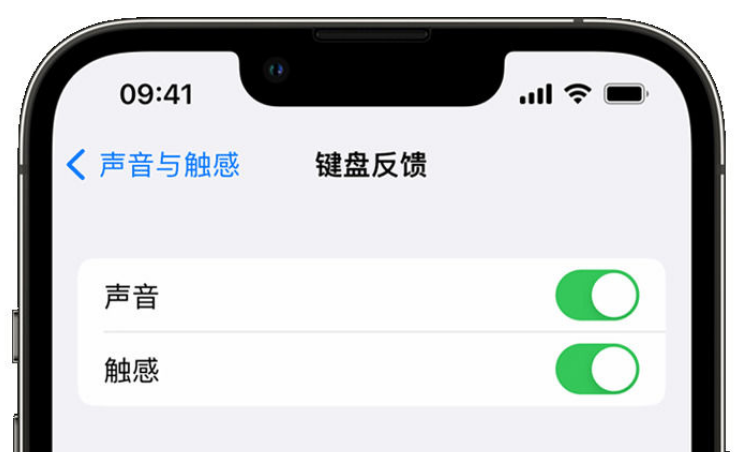 濉溪苹果手机维修分享iPhone 14触感键盘使用方法 