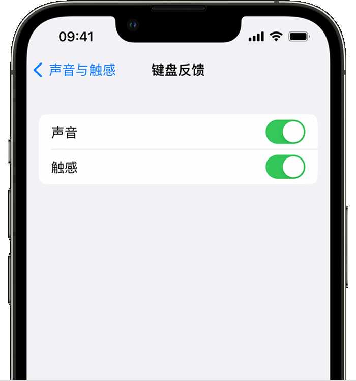 濉溪苹果14维修店分享如何在 iPhone 14 机型中使用触感键盘 