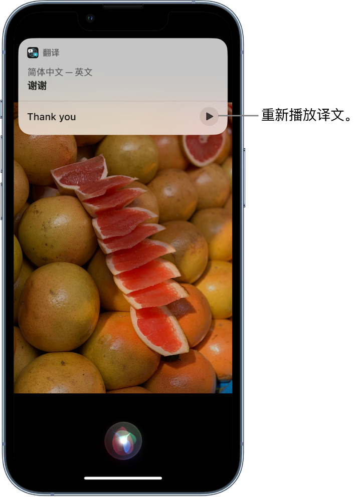 濉溪苹果14维修分享 iPhone 14 机型中使用 Siri：了解 Siri 能帮你做什么 