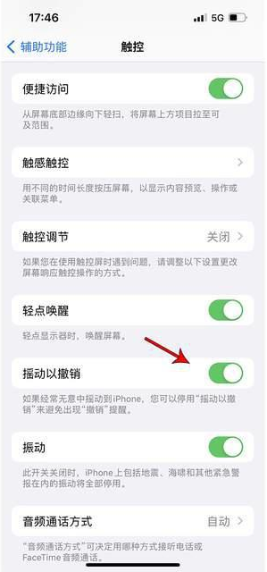 濉溪苹果手机维修分享iPhone手机如何设置摇一摇删除文字 